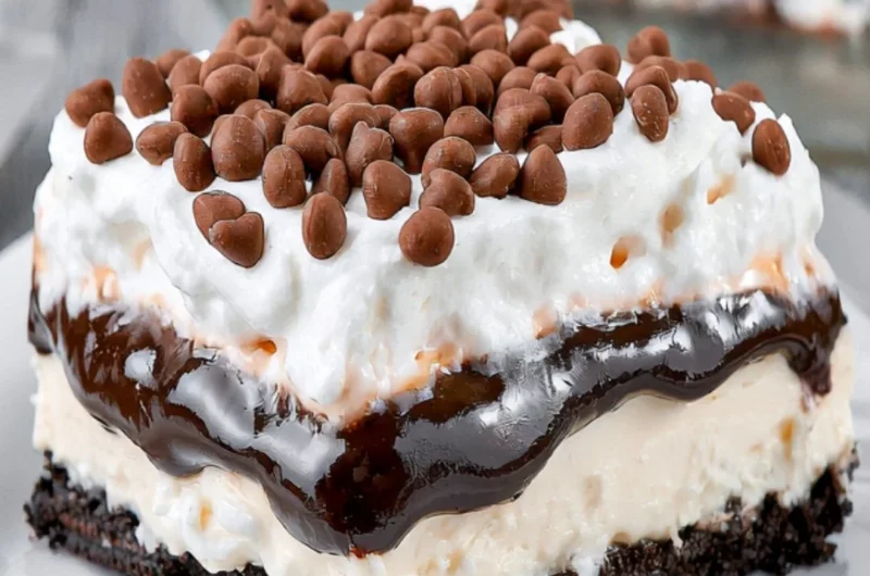 Layered chocolate lasagna dessert with creamy filling and chocolate toppings